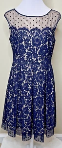 Eliza J Damen Illusion Passe Spitze Fit & Flare Kleid Marine Größe 10 Elegant Hochzeit - Bild 1 von 11