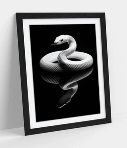 WHITE SNAKE ON BLACK BACKGROUND -FRAMED WALL ART POSTER PAPER PRINT - Picture 1 of 10
