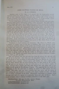 six species - Bild 1 von 1