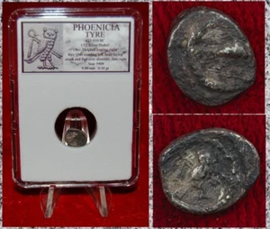 Moneda Antigua NEUMÁTICO FENICIA Delfín y Búho Plata 1/12 Shekel - Imagen 1 de 4