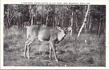 Iron Mountain MI Northern Woods Native In City Park Deer Michigan Postcard A49