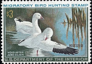 US Scott #RW37 Mint Hinged VF 3.00 1970 US Federal Duck Stamp CV 65.00 - Picture 1 of 2