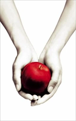 Twilight: Twilight, Book 1: 1/4 (Twilight Saga) by Meyer, Stephenie 1907410481 - Image 1 of 2