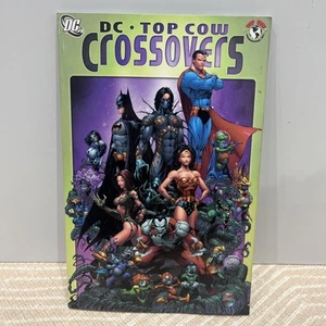 DC/Top Cow: Crossover Classics by David Finch, Joe Kelly, Marc Silvestri,... - Picture 1 of 7