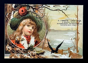 Victorian Trade Card - Pretty Girl - Lumber Dealer Lockport New York 6" - Picture 1 of 2