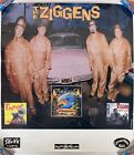 Rare affiche Ziggens Pomona Lisa Ignore Amos Chicken Out CD Skunk Records Sublime