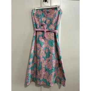 Vestido Lilly Pulitzer Verde Hierba Cabeza de León y Margarita Sin Tirantes Faja Rosa Talla 6 - Imagen 1 de 11