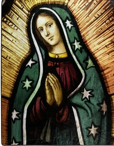 Wild Frontier 50”x 60” Wilderness MARY Plush Throw Blanket Virgin De Guadalupe - Bild 1 von 2
