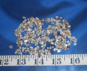 ~ Perlmutt (MOP) Muschelchips ~ Micro ~ Shellcraft ~ Sailor's Valentines ~ - Bild 1 von 6