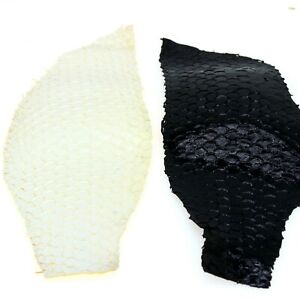 authentic Patent Fish Skin Hide Leather Craft Supply 2 Colors