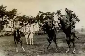 Vintage Photography Original Horses The Crown Prince Life in Japan 1920' - Picture 1 of 8