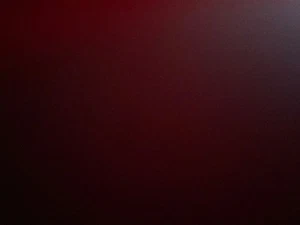 2003-2007 HONDA accord 4dr SEDAN SPRING TRUNK pair OEM - Bild 1 von 1