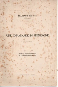 mx05 1922 UNE ÇHAMINÀDE IN MONTÀGNE di Spartaco Muratti - Tip. Lloyd Trieste - Imagen 1 de 1