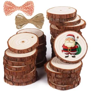 37 Pcs Unfinished Wood Slices Round Log Circles with Hole for DIY Arts Crafts - Picture 1 of 6
