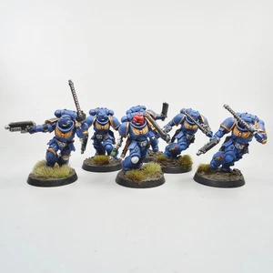Ultramarines Assault Intercessors x5 Painted - Warhammer 40k Army Space Marines - Picture 1 of 5