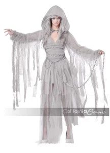 Haunting Beauty Ghost California Costumes Halloween Dress Size Large - Picture 1 of 4
