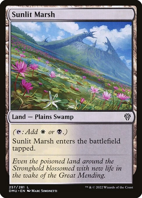 NM Sunlit Marsh, MTG, Dominaria United, Dominaria United, 257 - Image 1 of 1