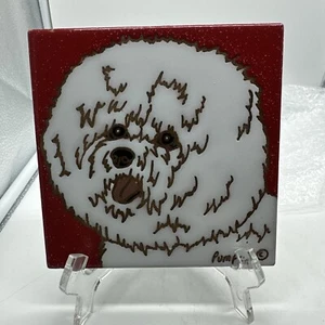 Bichon Frise Dog, Red - Hand Painted Tile by Pumpkin Tile - 6 x 6" Kiln Fired - Picture 1 of 5