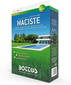 SEMENTI per PRATO ZOLLAVERDE MACISTE 1KG CURA GIARDINO - Foto 1 di 12