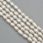 Long Ivory White Rice Oval Freshwater Pearls Beads for Jewellery Making 
