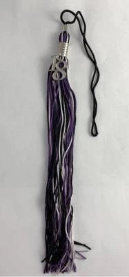 NUEVO Dije de plata púrpura negro y gris clase de 2018 borla de graduación 9" Jostens Foto 1 de 2