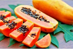 20 x DWARF RED PAW PAW,SEEDS,SELF POLLINATING,CARICA PAPAYA,FRUIT TREE GARDEN - Picture 1 of 7