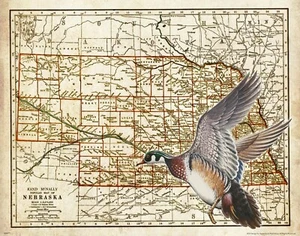 Holz Ente Jagd Vintage Nebraska State Karte Kunstdruck Büro Hütte Wanddeko - Bild 1 von 1