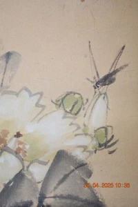 JAPANESE KAKEJIKU PAINTED SCROLL ART GRASSHOPPER Charcoal Paint - Washi Canvas - Picture 1 of 11
