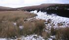Photo 6x4 Beck in Miller Moss. Fell Side/NY3037 With Lingy Hill in the b c2006