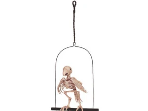 Skeleton Parrot on Perch Halloween Decoration Creepy Pirate Bird Prop 12.5" Bone - Picture 1 of 1