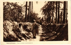 PC TRIPOLITANA UNA VECCHIA CAROCANIERA LYBIA (a34825) - Bild 1 von 2