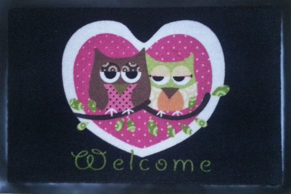 Fußmatte Herz Eulen Schmutzfangmatte  NEU 40 x 60 cm OWL Eule Design Trendstern - Bild 1 von 1