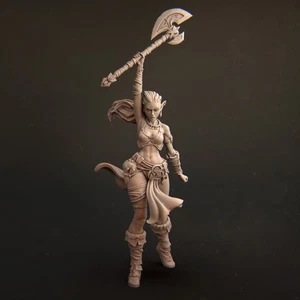 Sia, the Elf Barbarian by Nerikson | Commission | Painted | - Picture 1 of 4