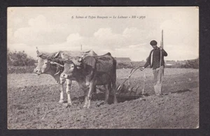 France ethnic scenes et types Basque - PLOUGHING c1900-10s postcard - Picture 1 of 2
