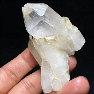 Wunderschöner 60g Tibet Himalaya seltener elestial klarer Quarz Kristall Punkt Cluster - Bild 1 von 4