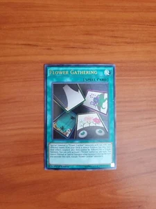 Flower Gathering - YuGiOh! Dragons of Legend Unleashed - DRL3-EN040 - NM/MINT - Picture 1 of 2