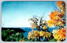 Fall Colours, Ottawa River, Arnprior, Ontario, Canada, Vintage Chrome Postcard
