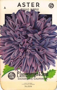 Paquete de semillas vintage: púrpura ASTER, Lagomarsino & Sons, Sacramento, años 40 - Imagen 1 de 2