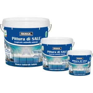 TEKNICA PITTURA DI SALE ANTIMUFFA IODATO DA LT. 12 - Foto 1 di 2