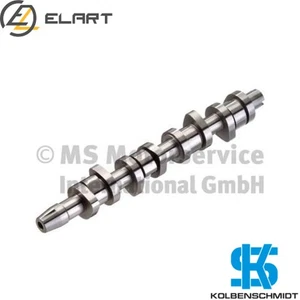 CAMSHAFT 50006304 FOR SEAT ANU/AUY/AXR/ATD/BLT/ASZ/ARL/BPX/BUK/BKC/BXE 1.9L VW - Picture 1 of 8