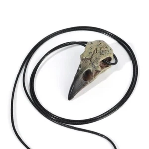 Raven Skull Necklace - Gothic Necklace - Witchcraft Jewelry - Picture 1 of 5
