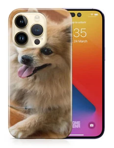 CASE COVER FOR APPLE IPHONE|POMERANIAN DOG 7 - Foto 1 di 44