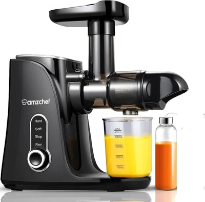AMZCHEF Slow Juicer Entsafter mit 2 Geschwindigkeitsmodi mit Tragbarer Flasche