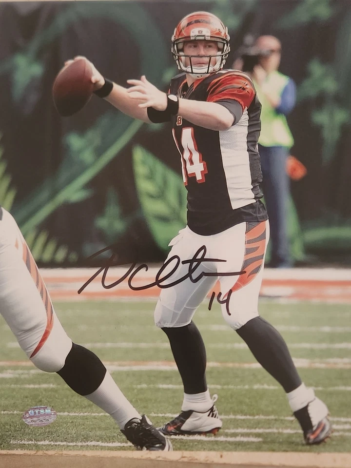Andy Dalton Cincinnati Bengals autografado 8x10 com certificação - Imagem 1 de 2