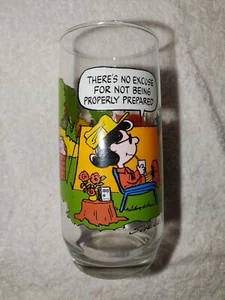 Vintage McDonald's Camp Snoopy Collection Drinking Glass Lucy Properly Prepared - Picture 1 of 3