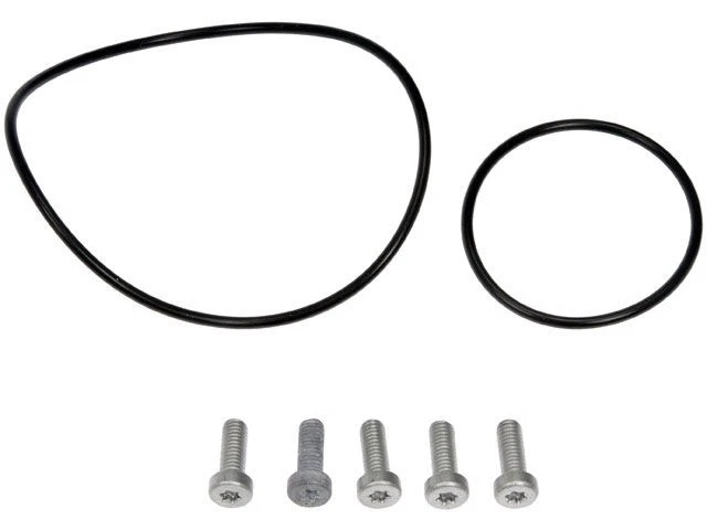 Kit de reparación de bomba de vacío Dorman 99VS16G para BMW X5 2004-2009 Foto 1 de 1