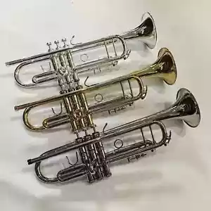 Professional Standard Brass Trumpet Bb Trumpet with Mouthpiece Carrying Case - Picture 1 of 15