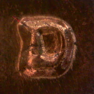 1962-D Lincoln Memorial Cent Penny - Re-punched Mintmark RPM Error Coin (t1031) - Image 1 of 3