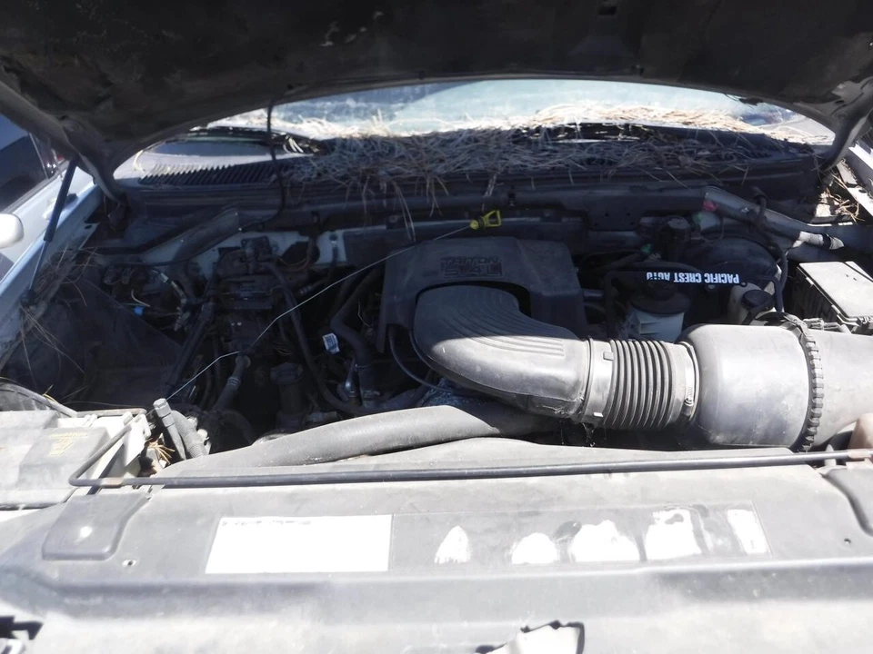 Antena usada compatible con: Ford F150 2001 camioneta grado A Foto 1 de 4