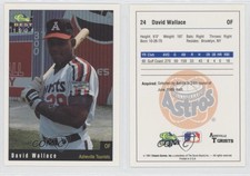 1991 Classic Best Asheville Tourists David Wallace #24